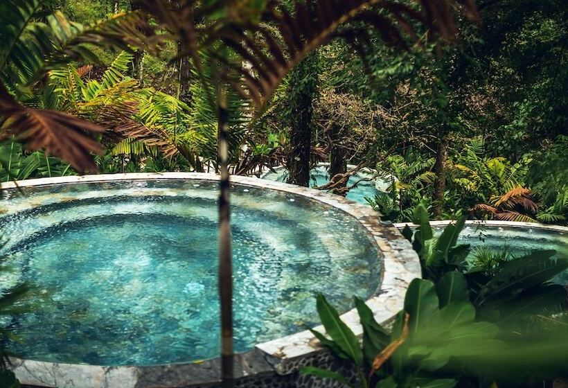 Nayara Springs  Adults Only