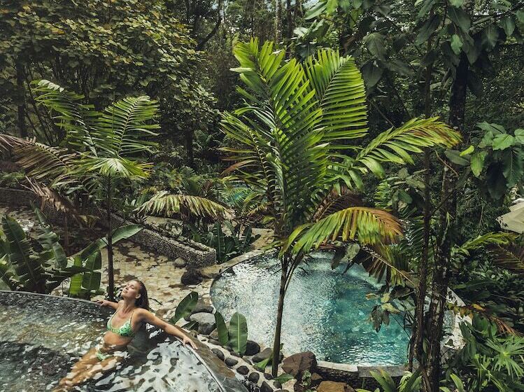 Nayara Springs  Adults Only