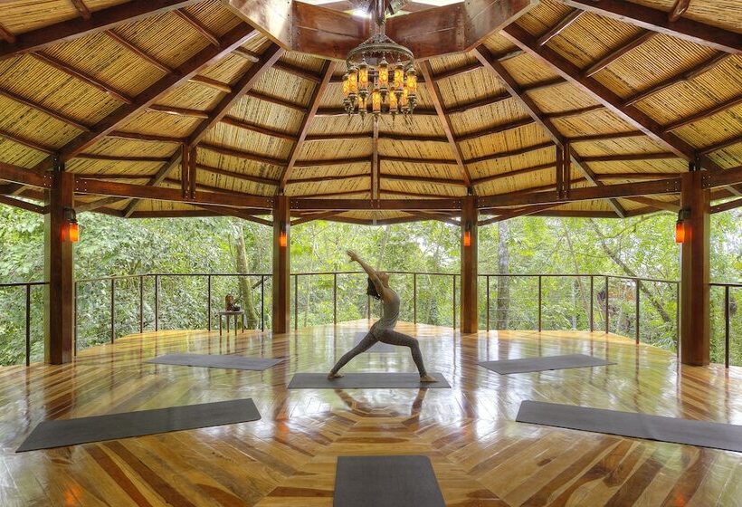 Nayara Springs  Adults Only