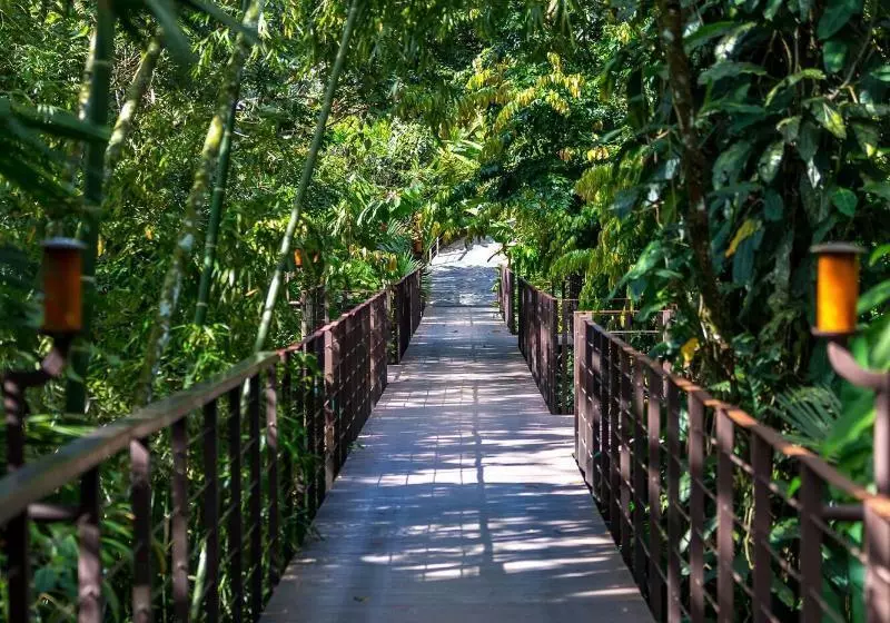 Nayara Springs Adults Only