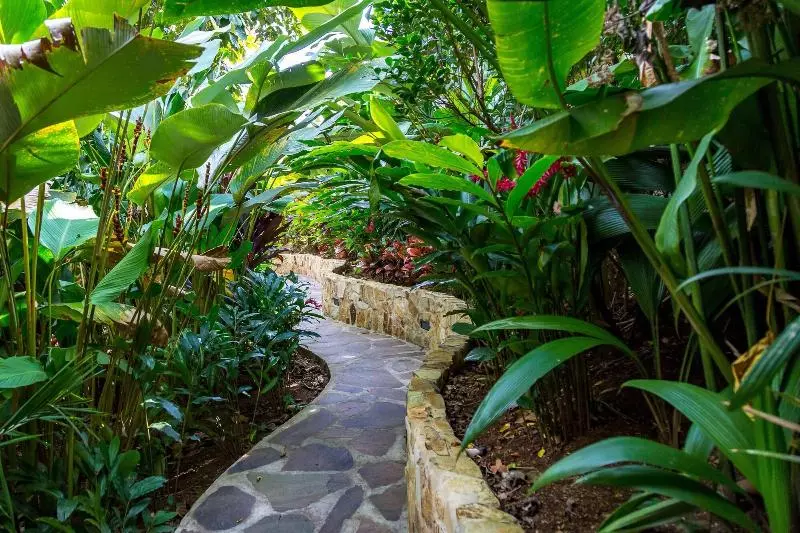 Nayara Springs Adults Only