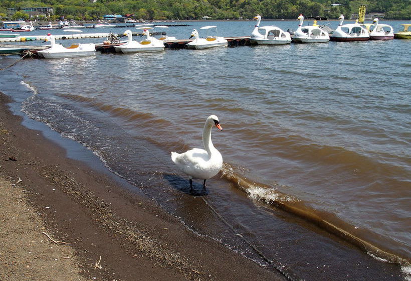 פנסיון Guesthouse Hiiragi