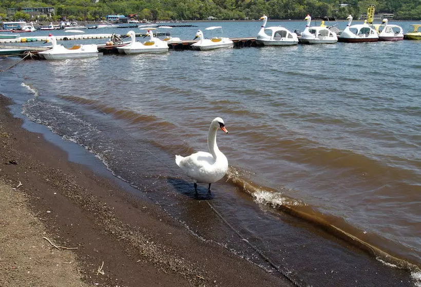 Pensione Guesthouse Hiiragi