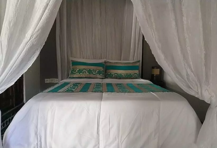 ریاض R´mila Medina Fez