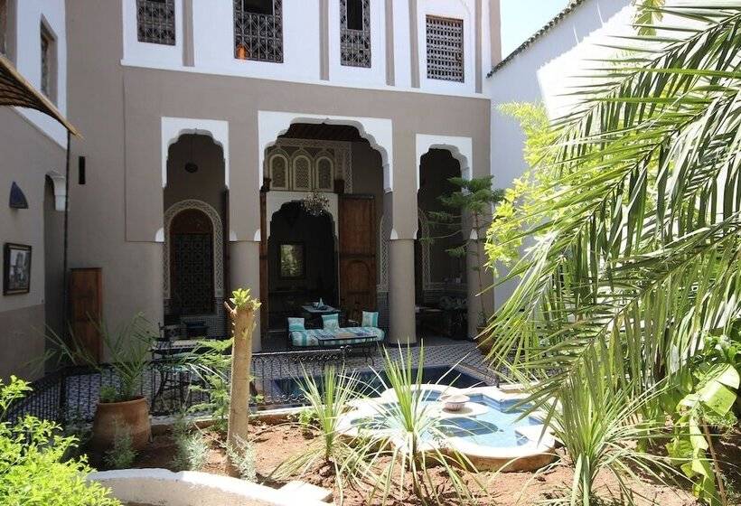 里亚德 R´mila Medina Fez