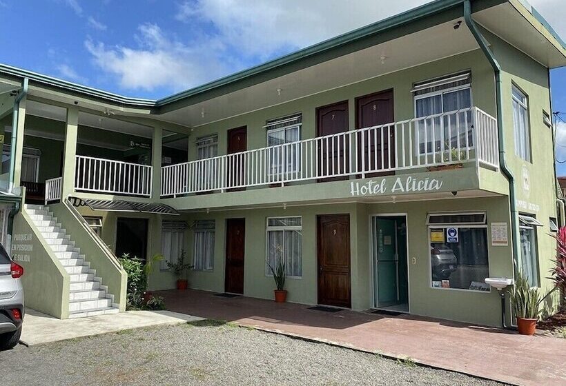 Отель Alicia