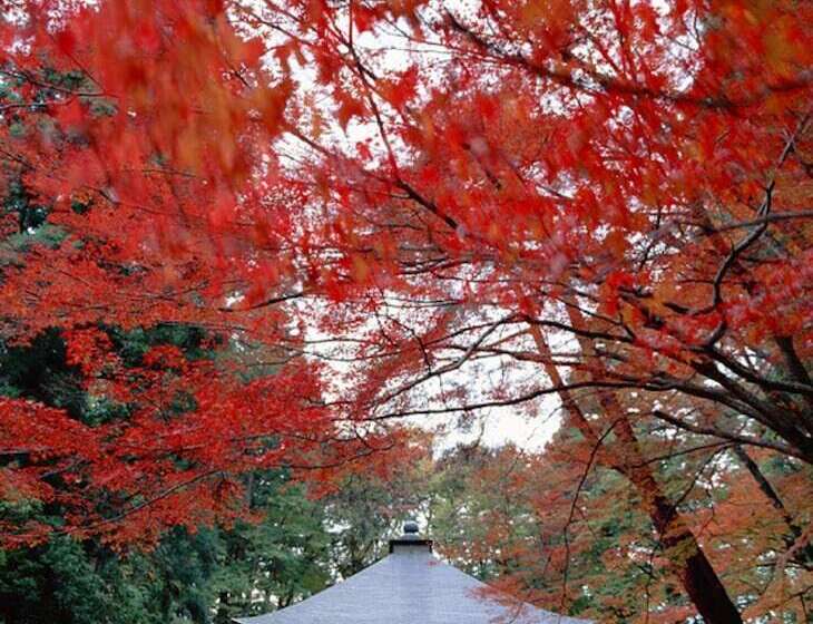 ريوكان Shizukatei