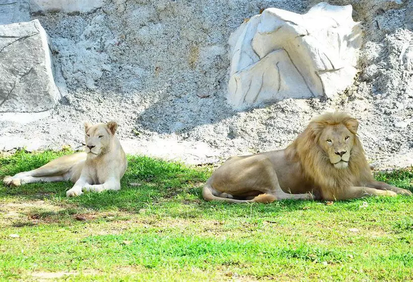 Otel Caribbean Bay Resort Bukit Gambang Resort City