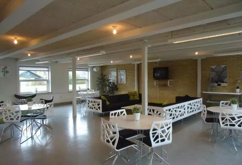 בית מלון כפרי Danhostel Køge