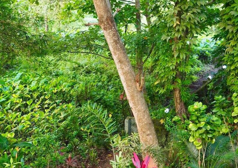 ホテル Eden Garden Ayurvedic Health Retreat