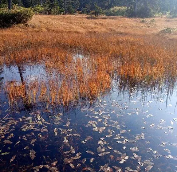 호텔 K S House Hokkaido  Asahidake Onsen Hostel