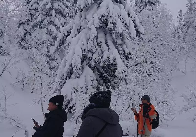 호텔 K S House Hokkaido  Asahidake Onsen Hostel