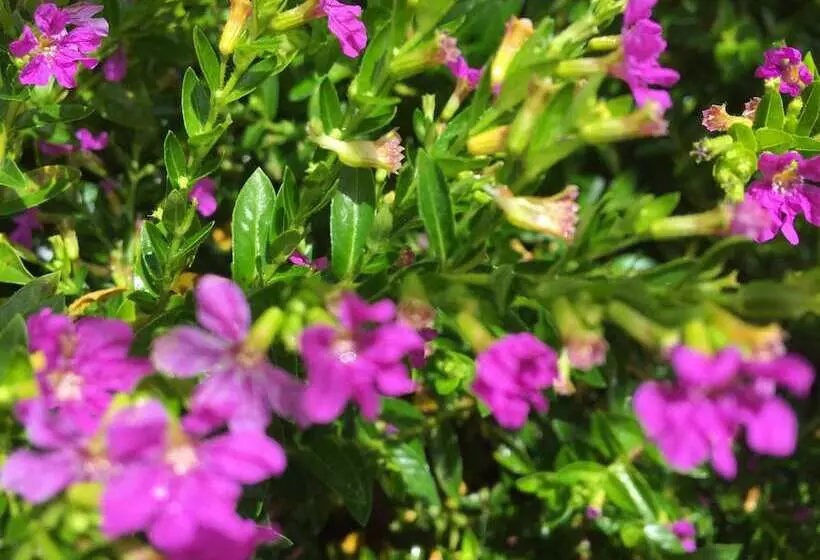 فندق Thansur Sokha