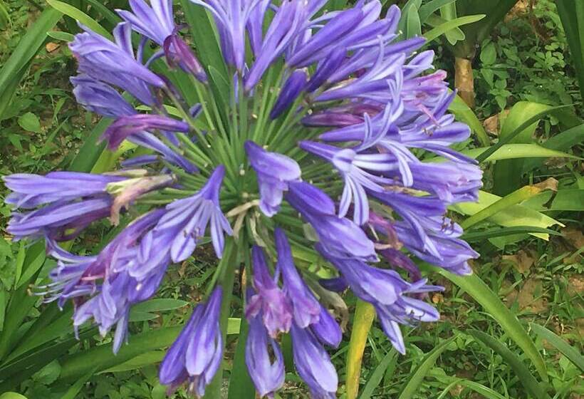 هتل Thansur Sokha