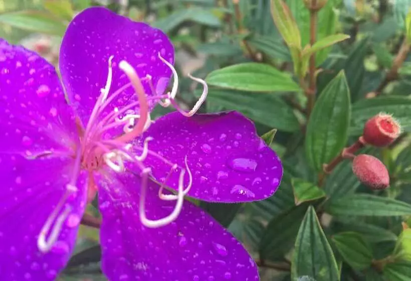 فندق Thansur Sokha