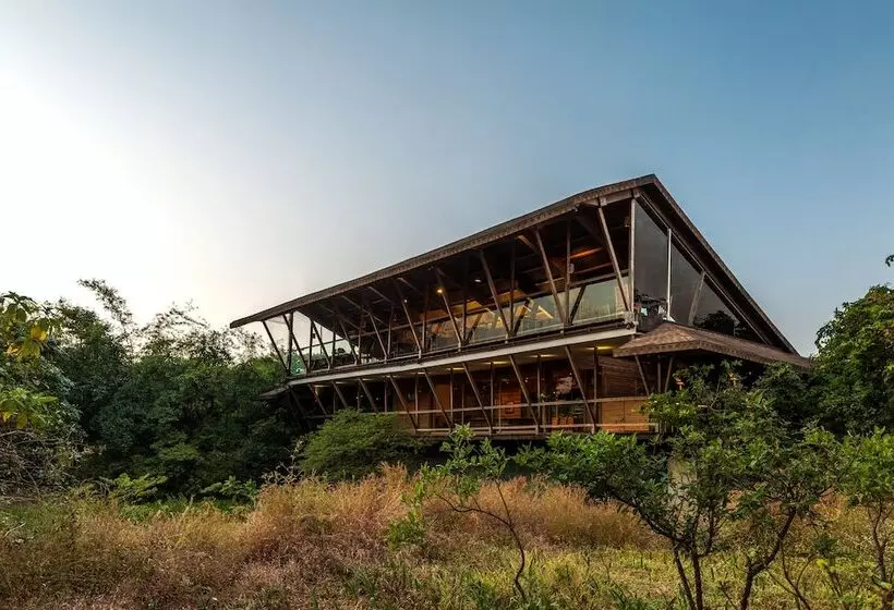 Отель The Machan