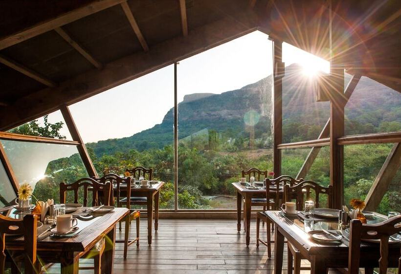 Отель The Machan