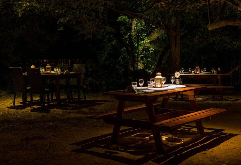 Отель The Machan