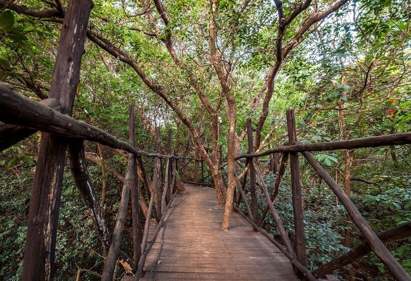 Отель The Machan