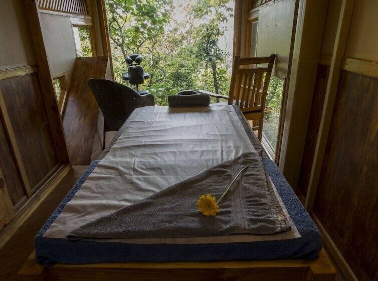 Отель The Machan