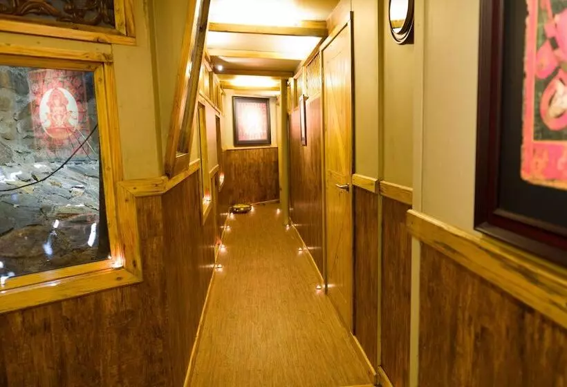 Отель The Machan