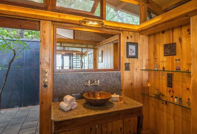 Отель The Machan