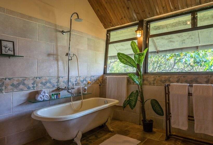 Отель The Machan