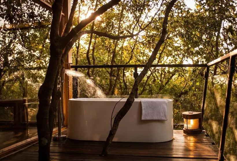 Отель The Machan