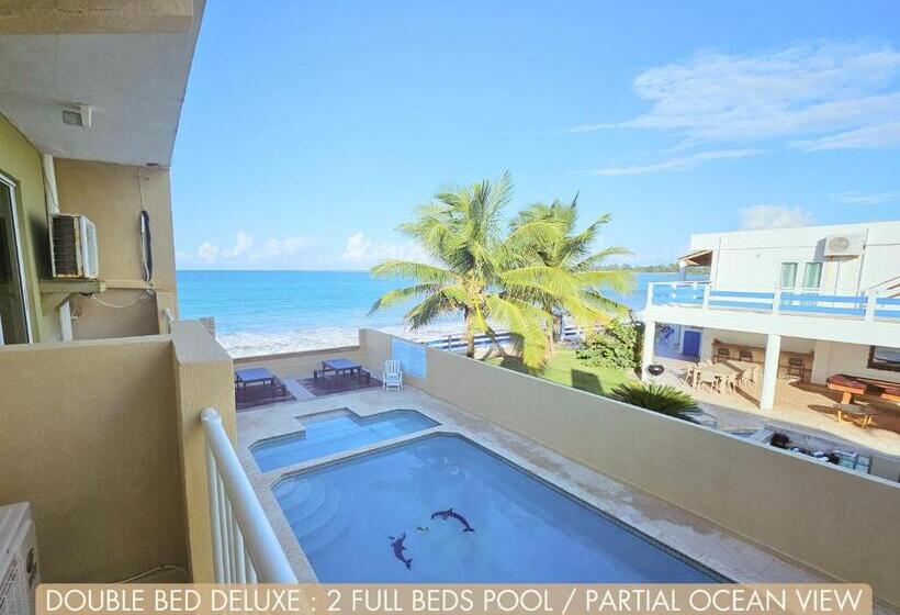 Selva Boutique Hotel Luquillo Oceanfront Retreat Adults Only