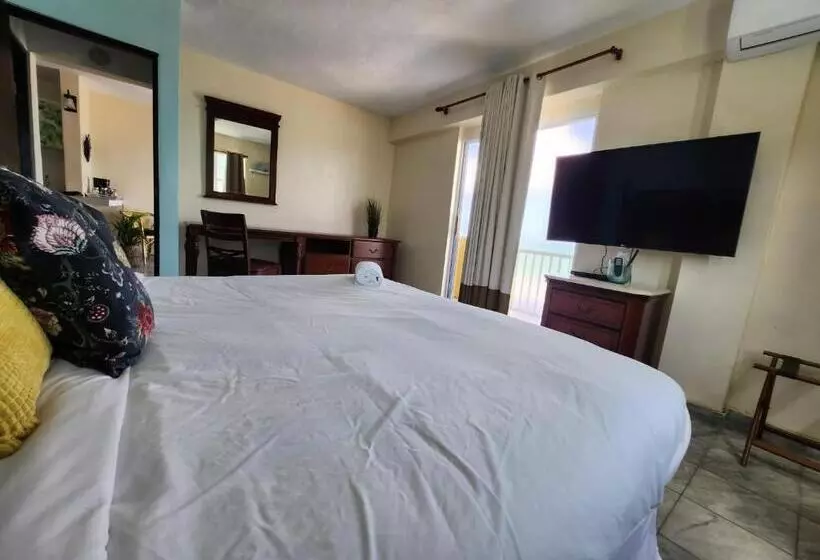 Selva Boutique Hotel Luquillo Oceanfront Retreat Adults Only