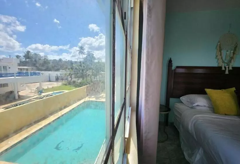 Selva Boutique Hotel Luquillo Oceanfront Retreat Adults Only
