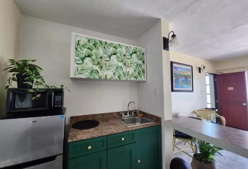 Selva Boutique Hotel Luquillo Oceanfront Retreat Adults Only