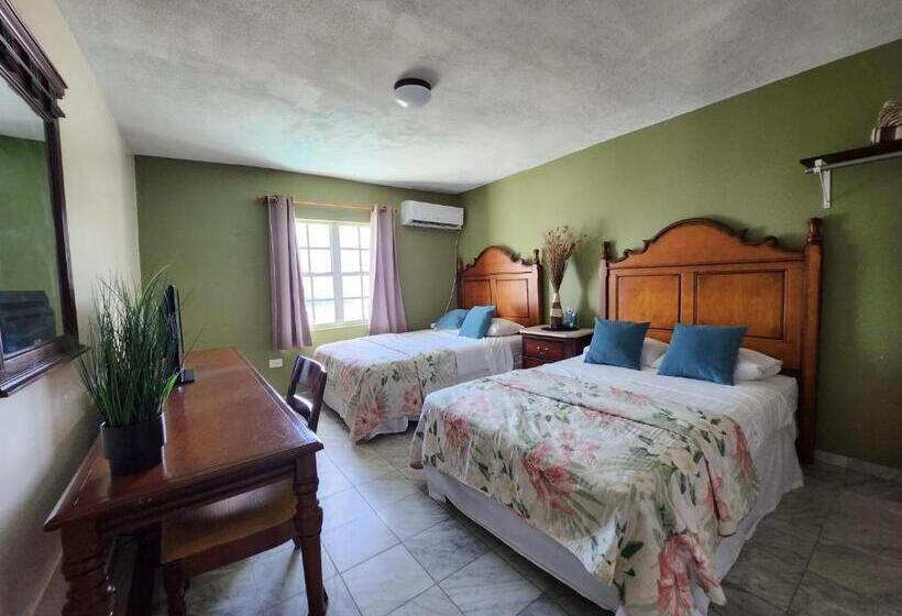 Selva Boutique Hotel Luquillo Oceanfront Retreat Adults Only