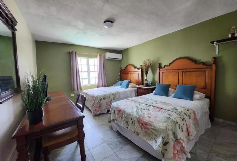 Selva Boutique Hotel Luquillo Oceanfront Retreat Adults Only