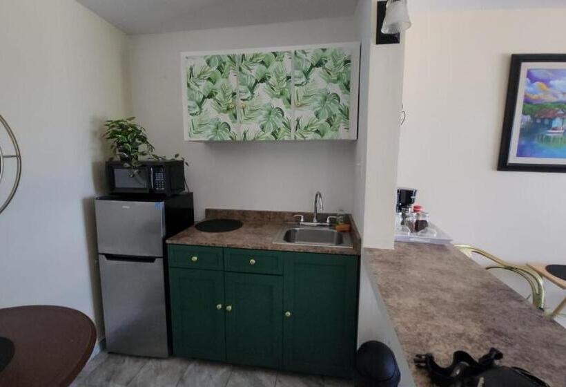 Selva Boutique Hotel Luquillo Oceanfront Retreat Adults Only