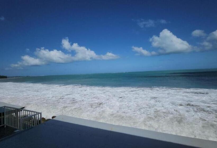 Selva Boutique Hotel Luquillo Oceanfront Retreat Adults Only