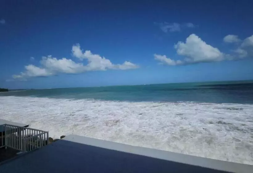 Selva Boutique Hotel Luquillo Oceanfront Retreat Adults Only