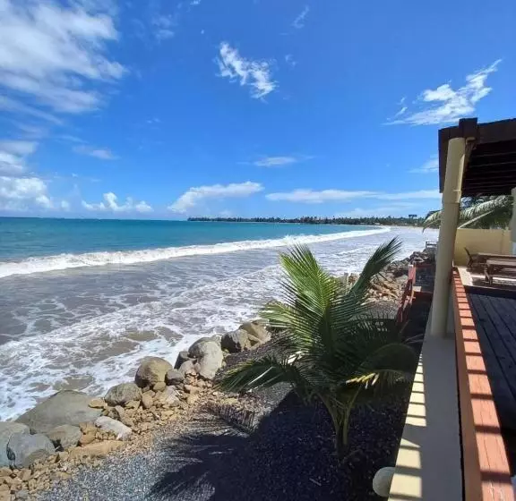 Selva Boutique Hotel Luquillo Oceanfront Retreat Adults Only