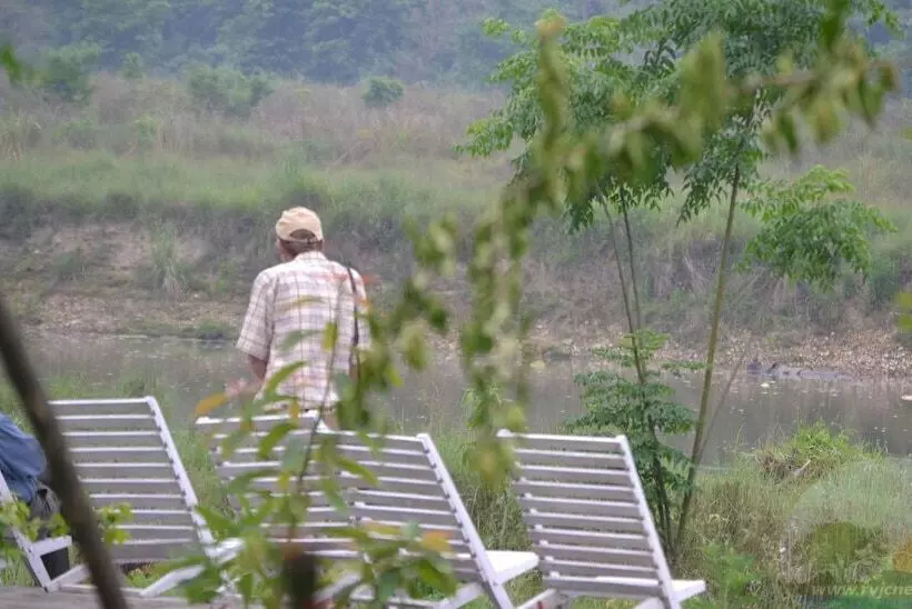 River View Jungle Camp