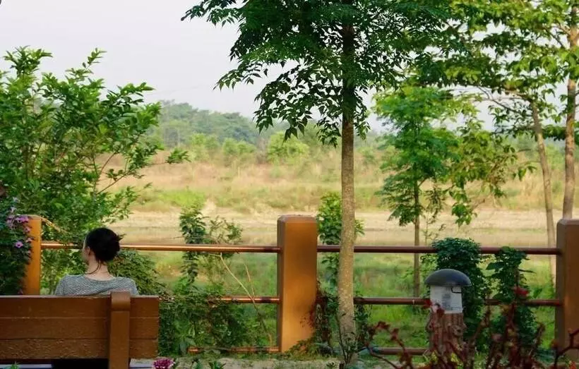 River View Jungle Camp