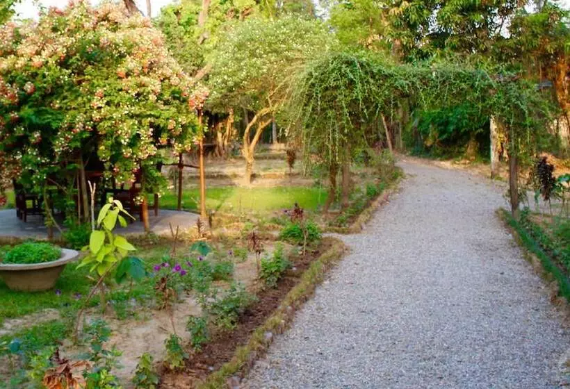 River View Jungle Camp