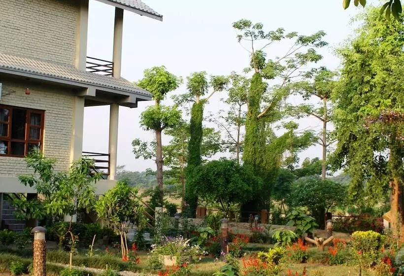 River View Jungle Camp