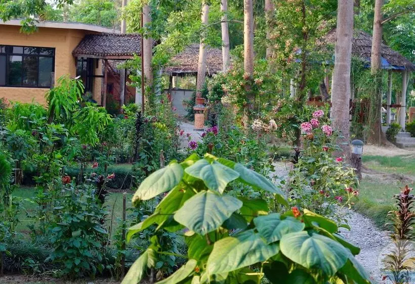 River View Jungle Camp