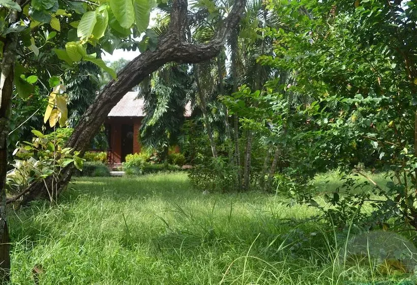 River View Jungle Camp