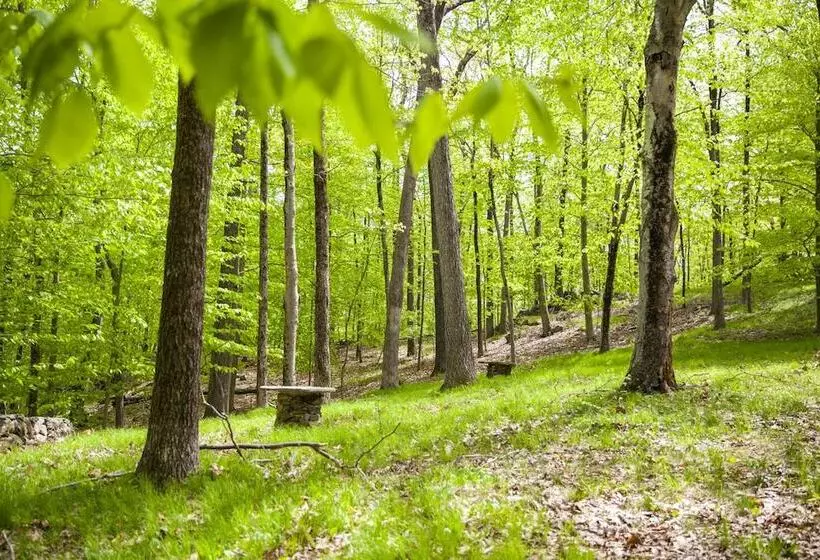 Aamiaismajoitus (B&B) Honey Maple Grove Bnb