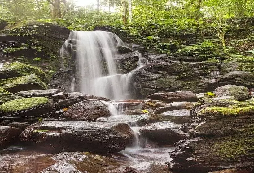 ホテル Oyo Homes 91089 Desa Wisata Air Terjun Way Kalam Syariah