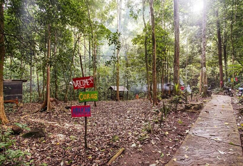 בית מלון כפרי Oyo Homes 91089 Desa Wisata Air Terjun Way Kalam Syariah