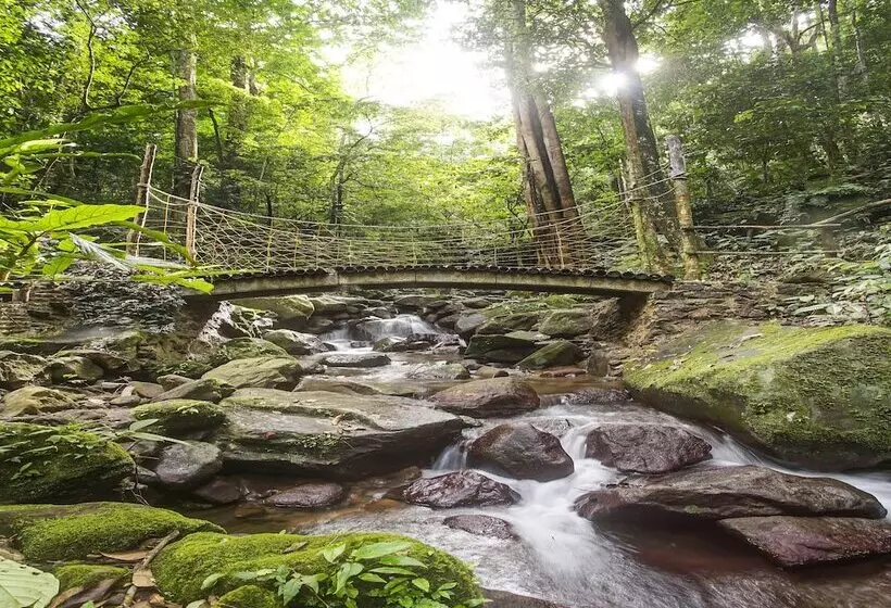 ホテル Oyo Homes 91089 Desa Wisata Air Terjun Way Kalam Syariah