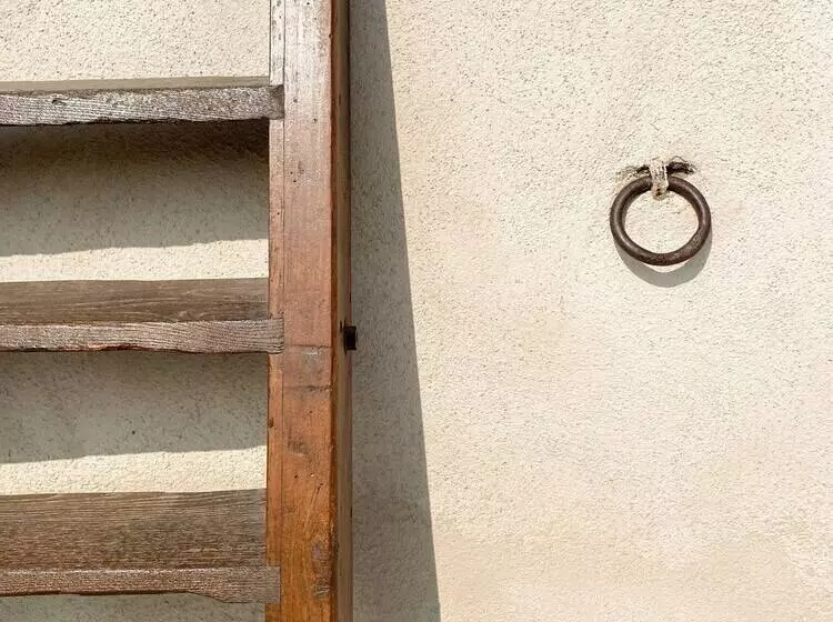 Verdeolivo1876   Apartments With Pool