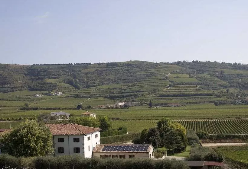 Verdeolivo1876   Apartments With Pool